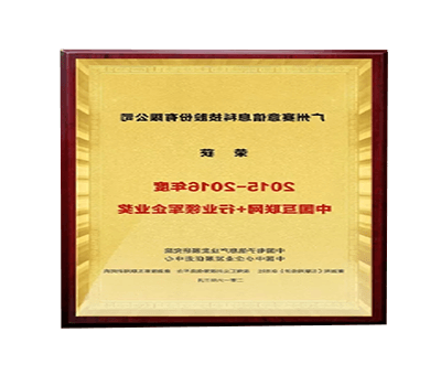 China Internet plus Industry Leader Award